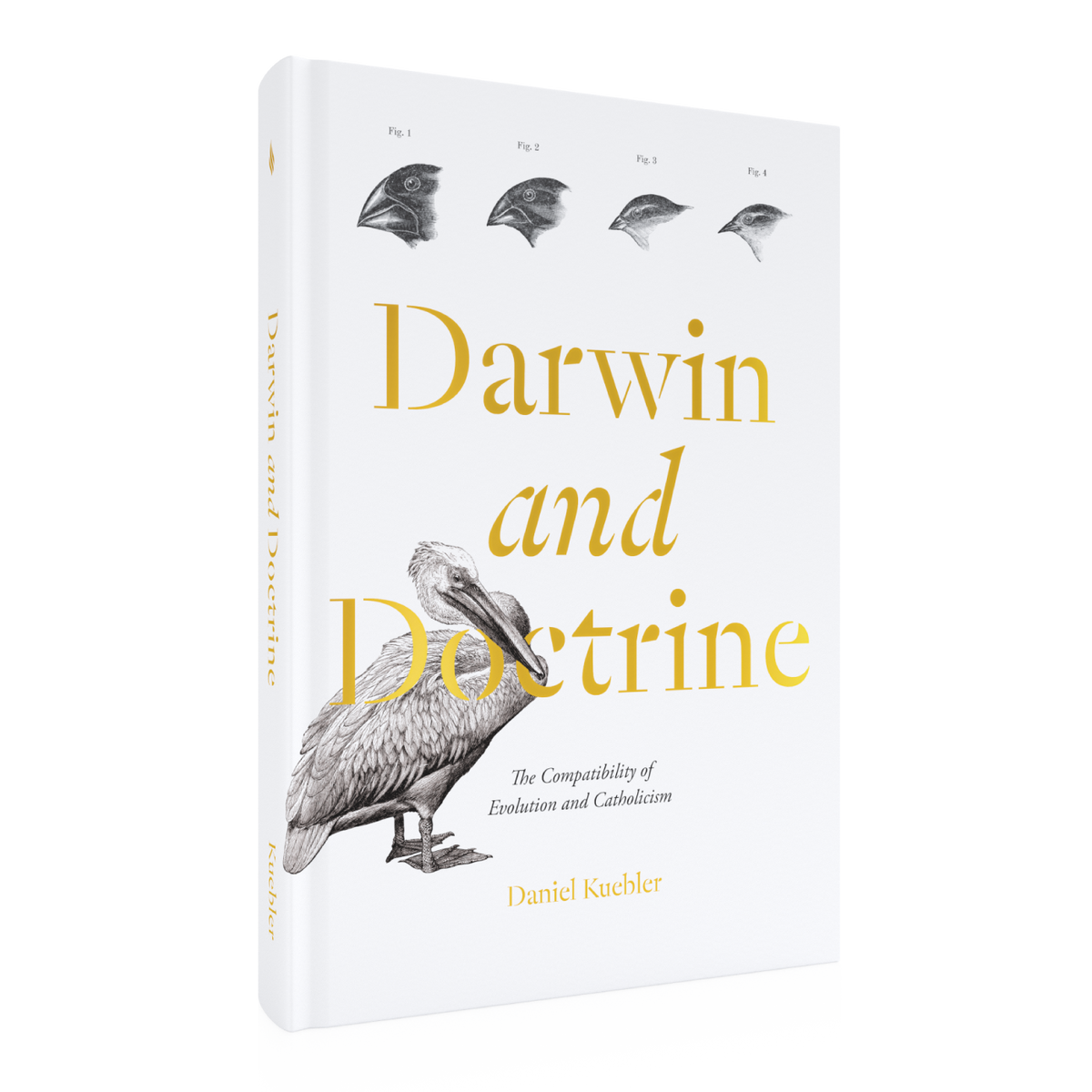 Darwin and Doctrine