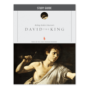 David the King Study Guide