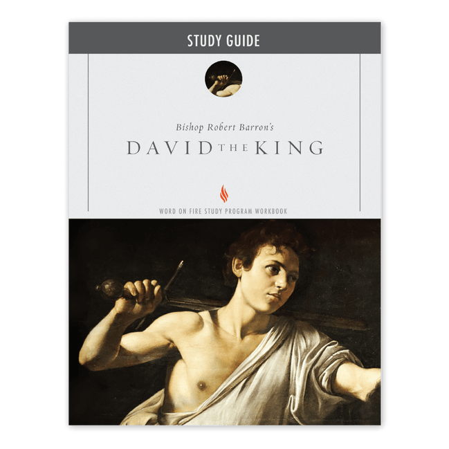 David the King Study Guide