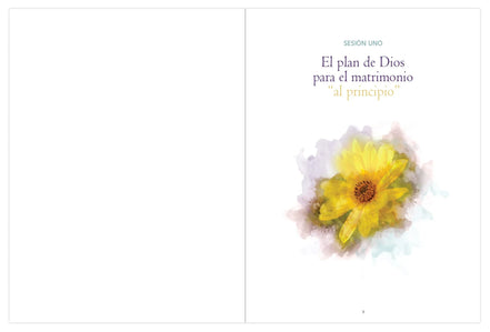 God's Plan for Love, Couple's Guide