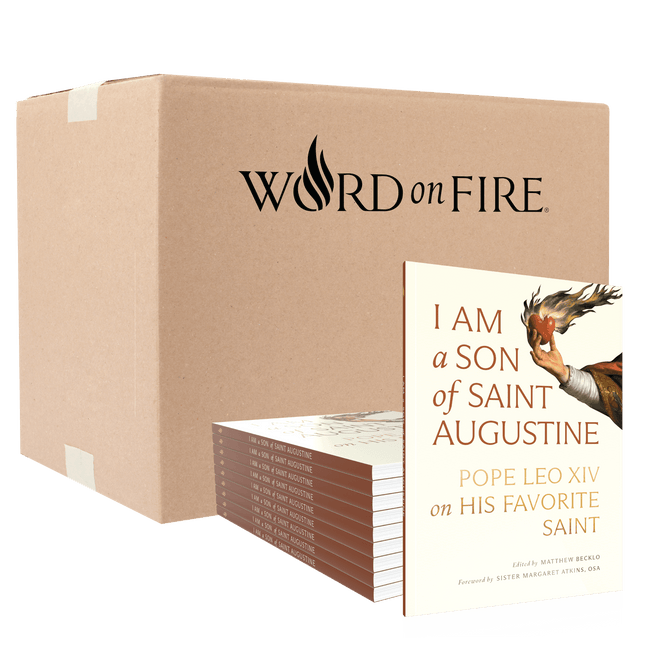 I Am a Son of Saint Augustine