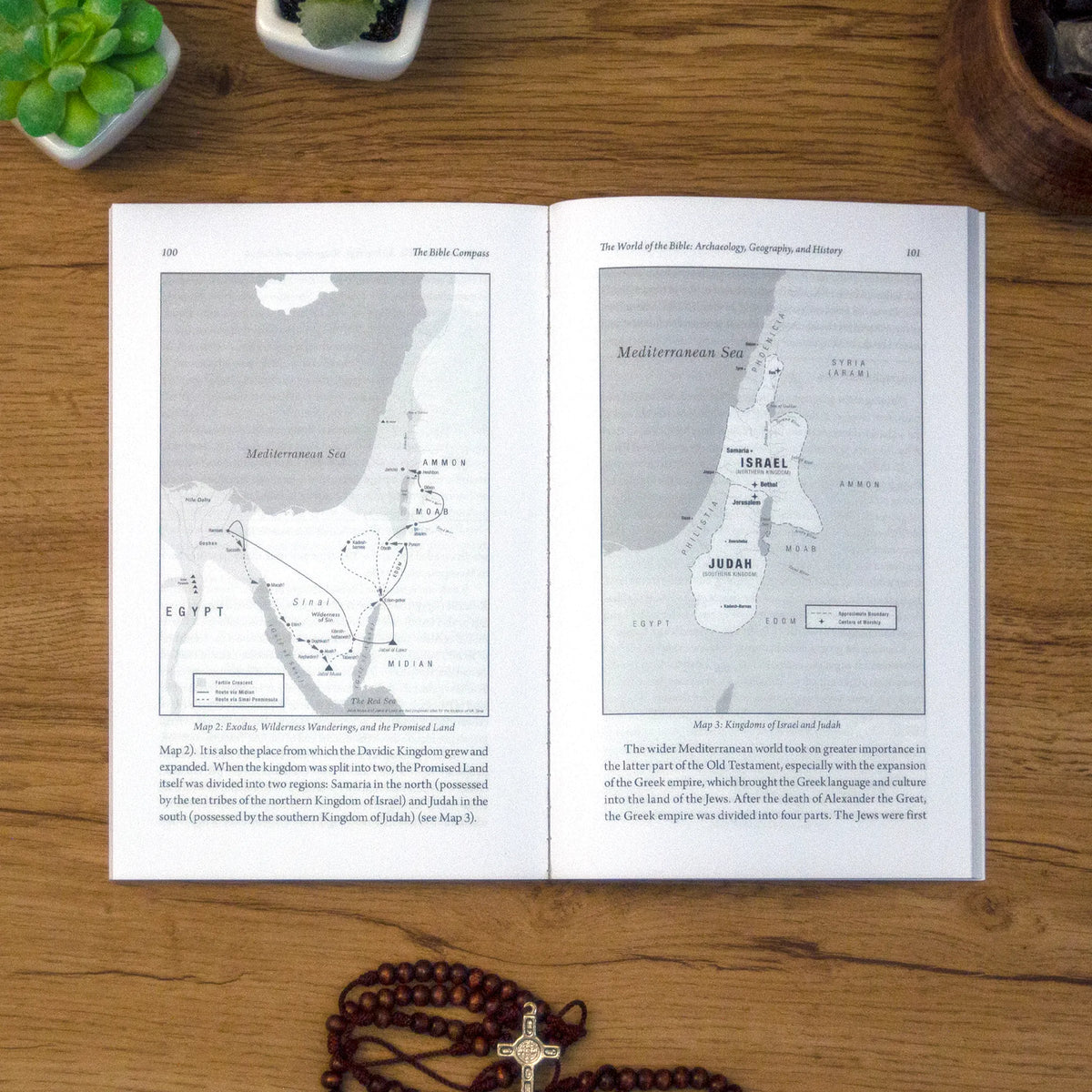 The Bible Compass: A Catholic's Guide to Navigating the Scriptures