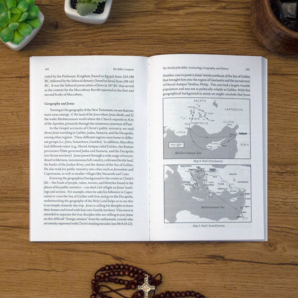 The Bible Compass: A Catholic's Guide to Navigating the Scriptures