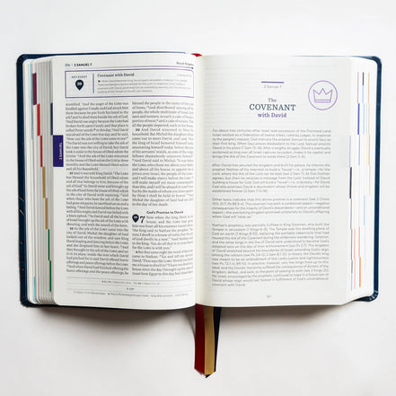 Holy Bible - The Great Adventure Catholic Bible, Second Edition