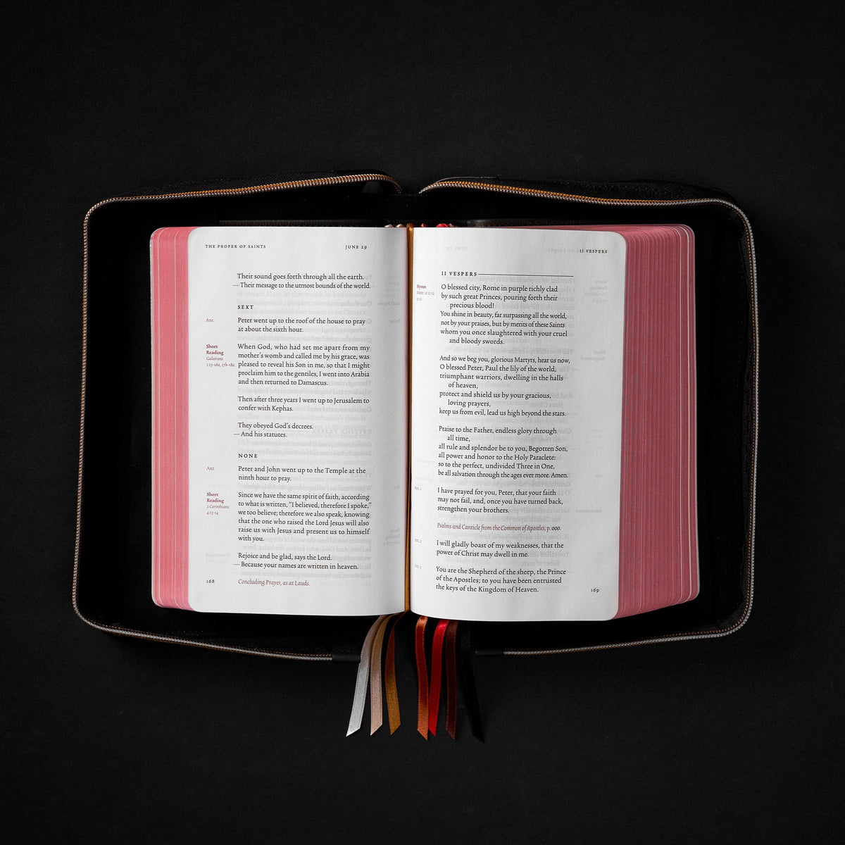 Word on Fire Liturgy of the Hours zipper case image 2
