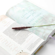 Living the Word Catholic Women's Bible