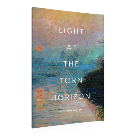 Light at the Torn Horizon