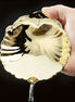 Brass Baptismal Shell - Brass Plated Style With Spout