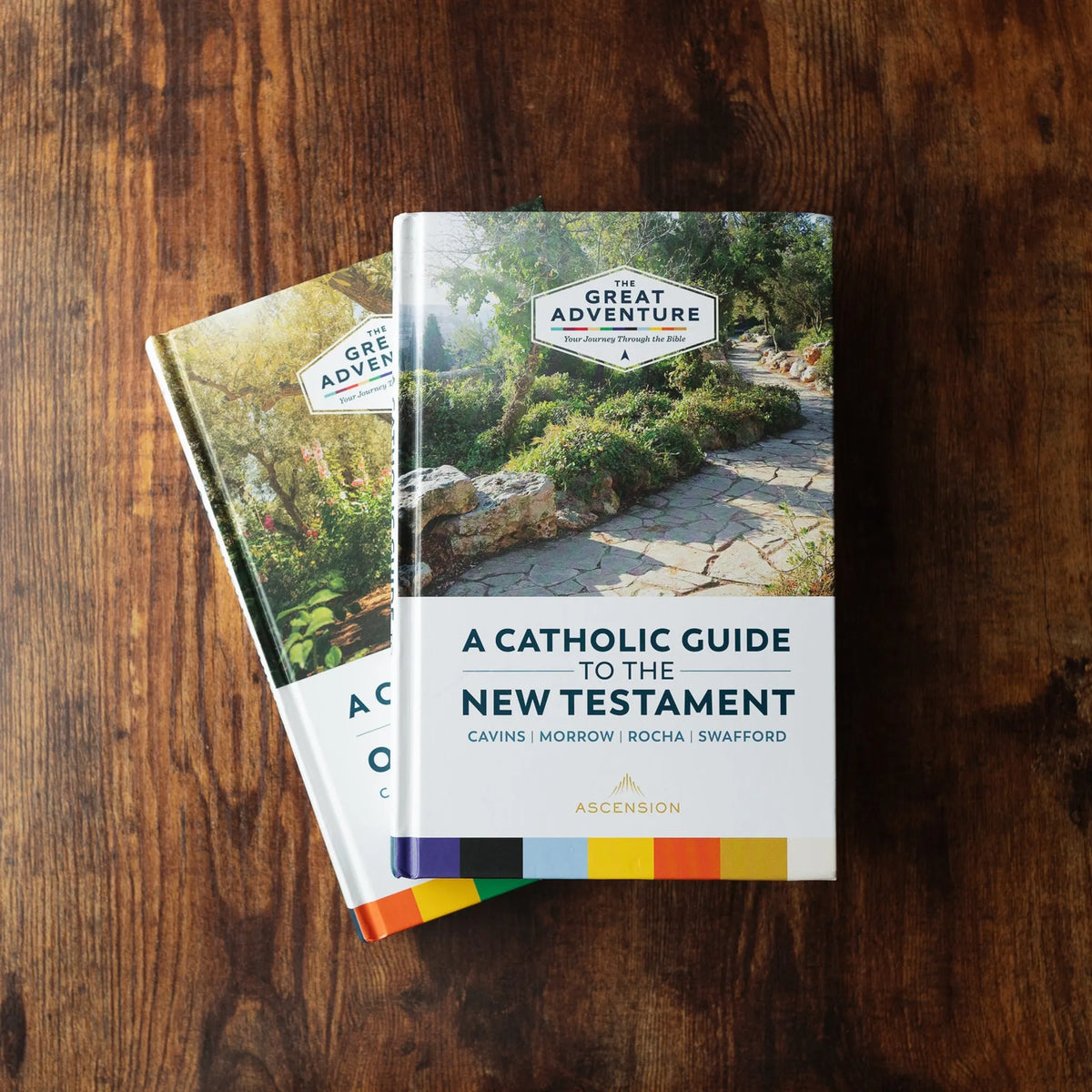 A Catholic Guide to the New Testament