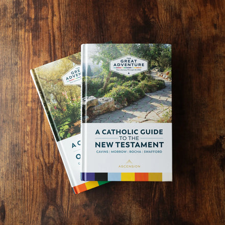 A Catholic Guide to the New Testament