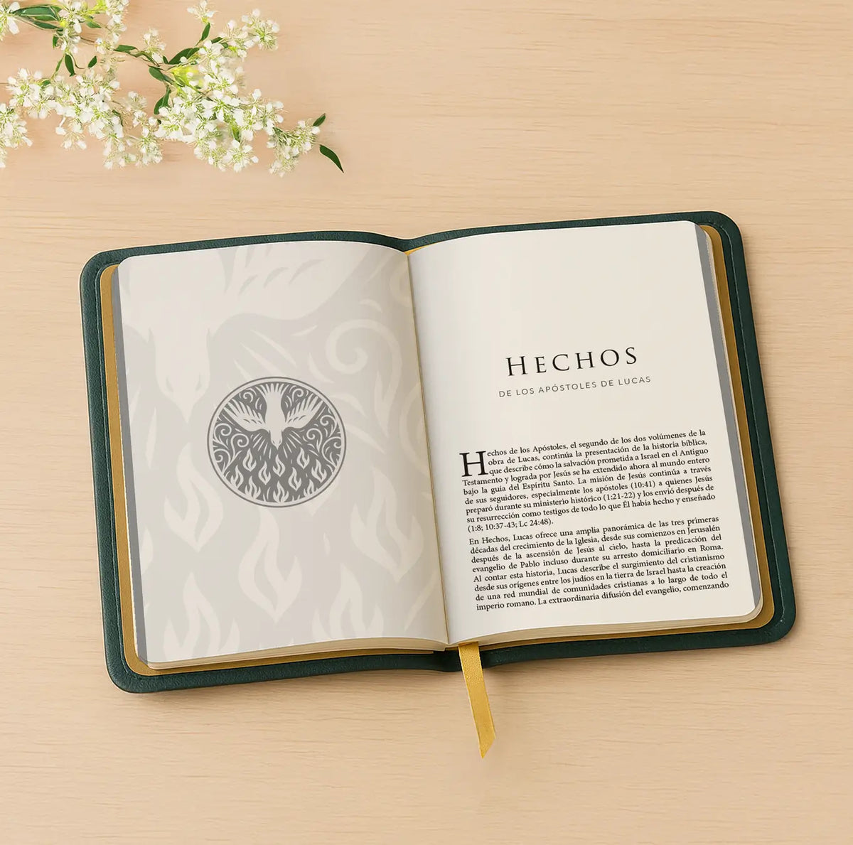 Nuevo Testamento (tapa flexible)