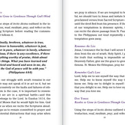 Pocket Guide to Overcoming the Seven Deadly Sins