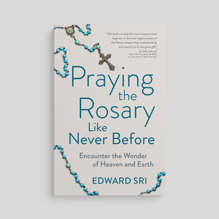 Praying the Rosary Like Never Before