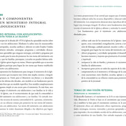 Renewing the Vision: A Framework for Catholic Youth Ministry