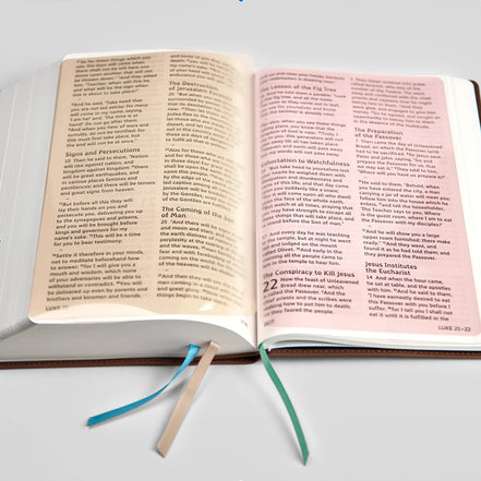 Catholic Reading Bible: Dyslexia-Friendly Edition (RSV-2CE)