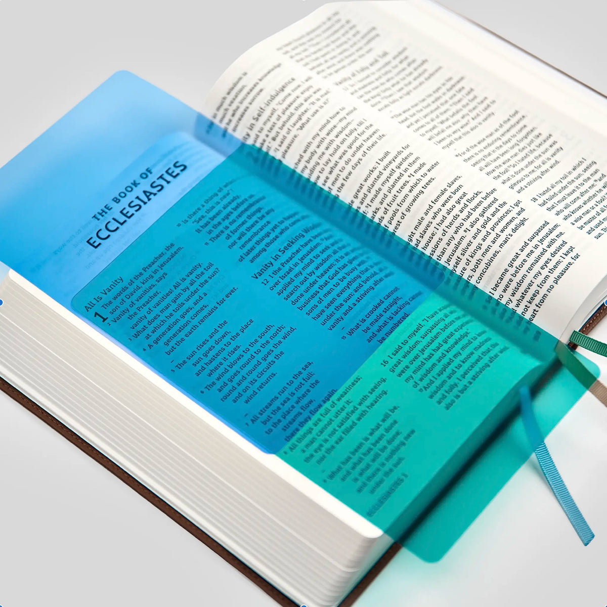 Catholic Reading Bible: Dyslexia-Friendly Edition (RSV-2CE)