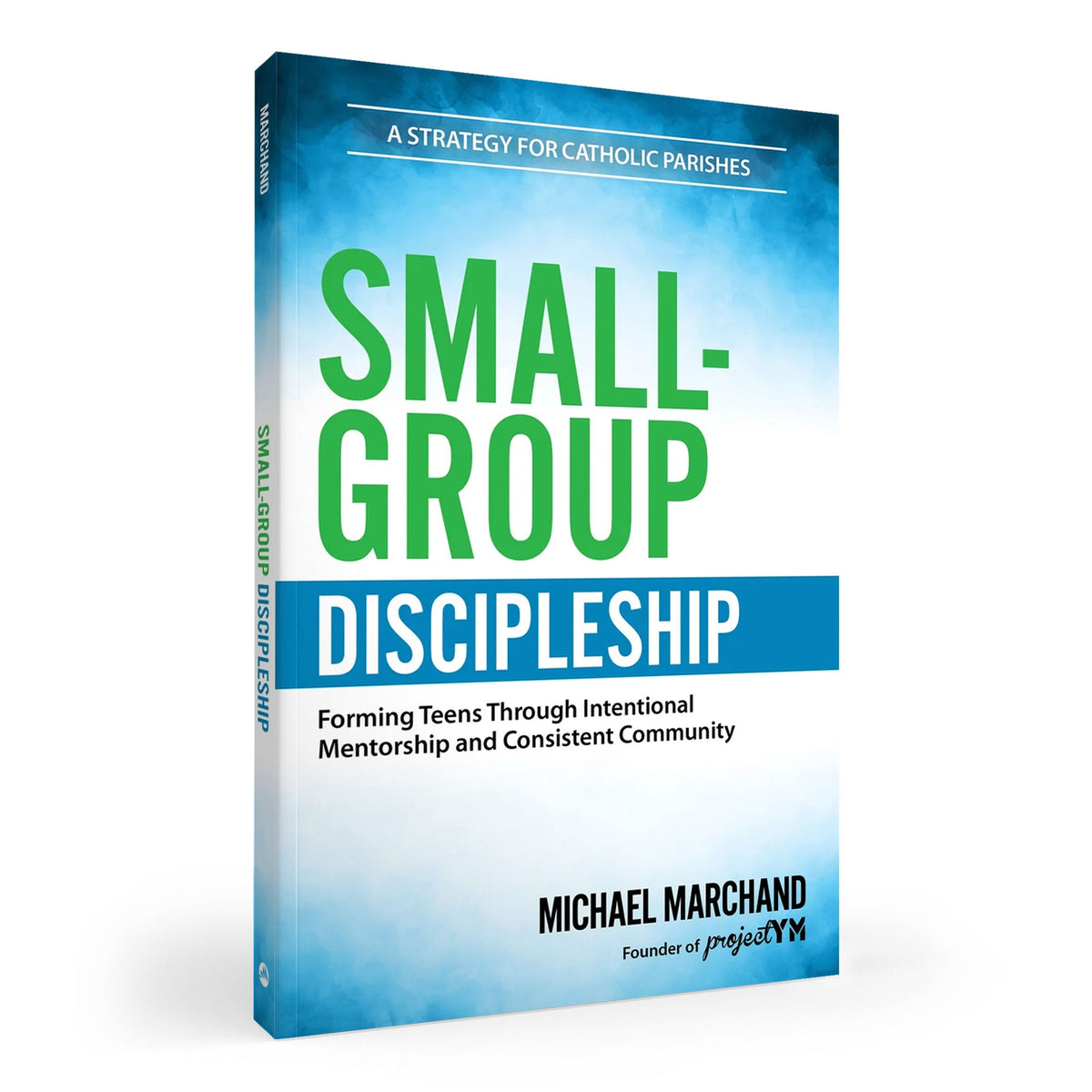Small-Group Discipleship