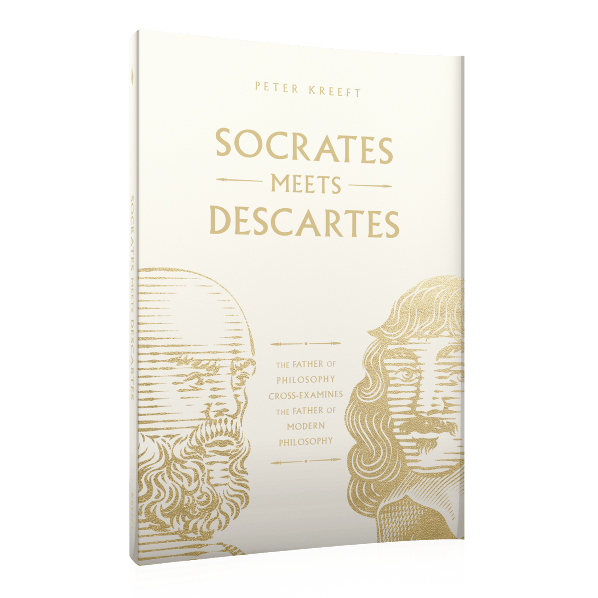 Socrates Meets Descartes
