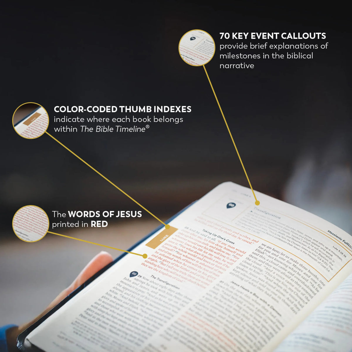 Holy Bible - The Great Adventure Catholic Bible, Second Edition — Additional Print Editions