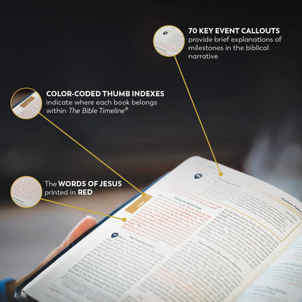 Holy Bible - The Great Adventure Catholic Bible, Second Edition — Additional Print Editions