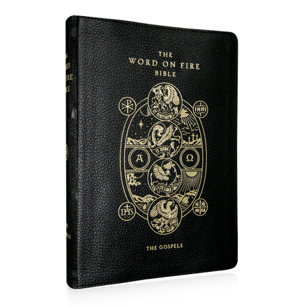 The Word on Fire Bible (Volume I): The Gospels