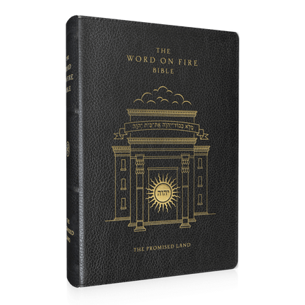The Word on Fire Bible (Volume IV): The Promised Land