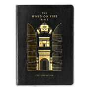 The Word on Fire Bible (Volume V): Exile and Return