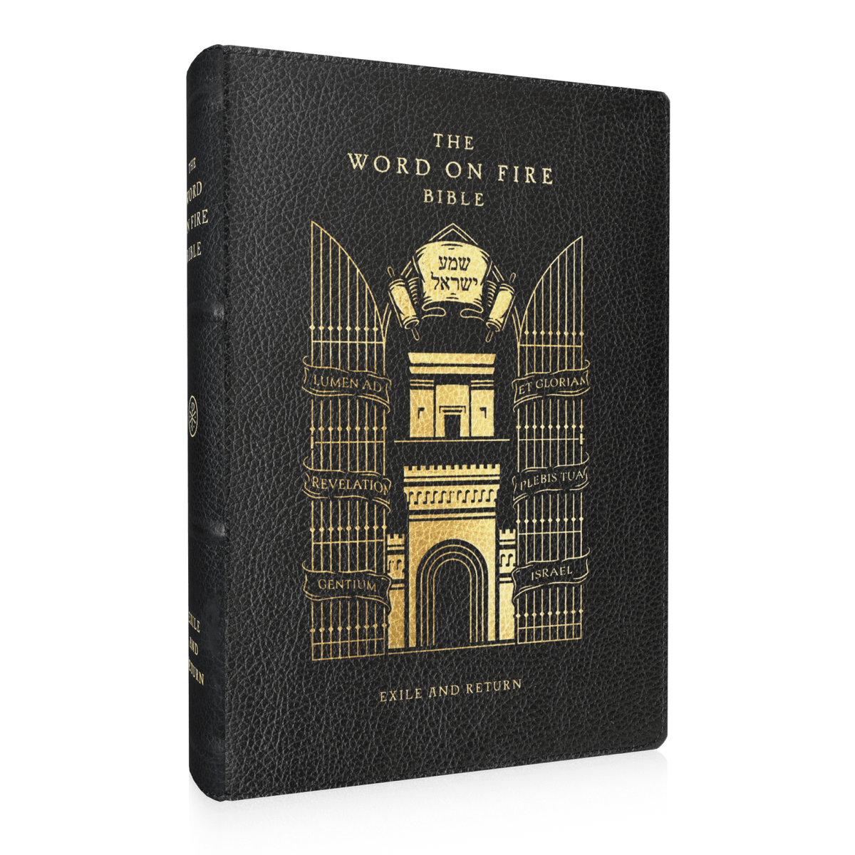 The Word on Fire Bible (Volume V): Exile and Return