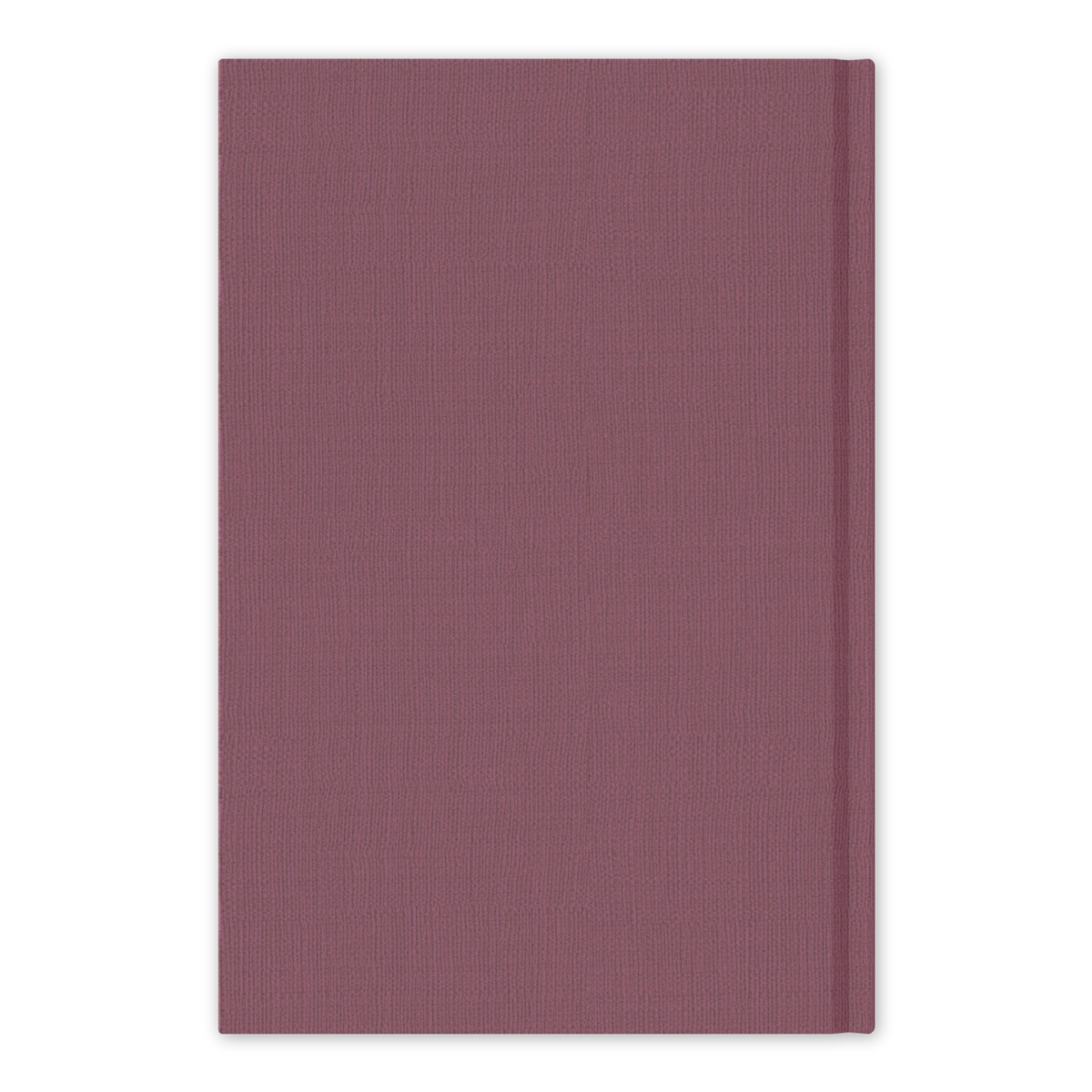 Life of Christ