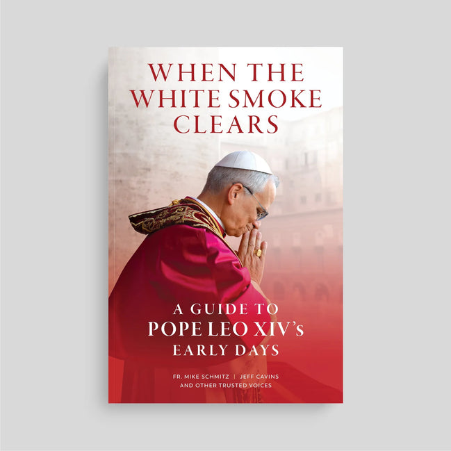 When the White Smoke Clears: A Guide to Pope Leo XIV's Early Days