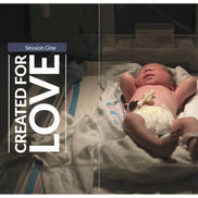 YOU: Life, Love, and the Theology of the Body, Parent's Guide