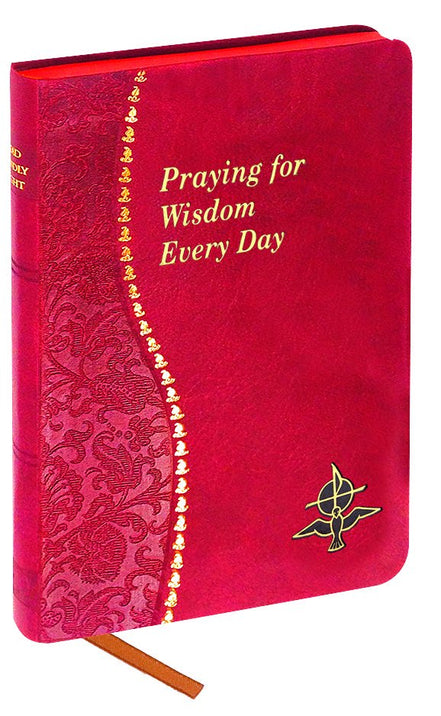 Praying for Wisdom Every Day - Default Title image 1