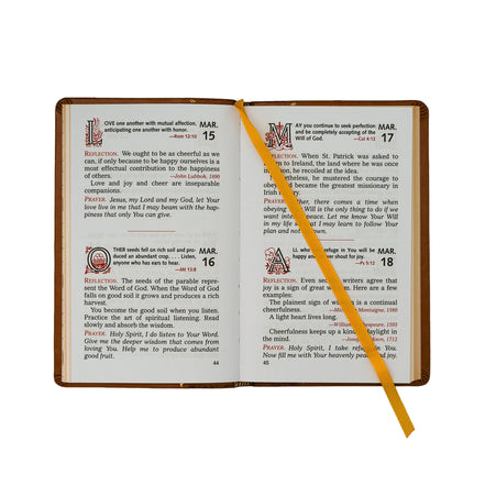 Joyfully Living The Gospel Day By Day - Default Title image 4