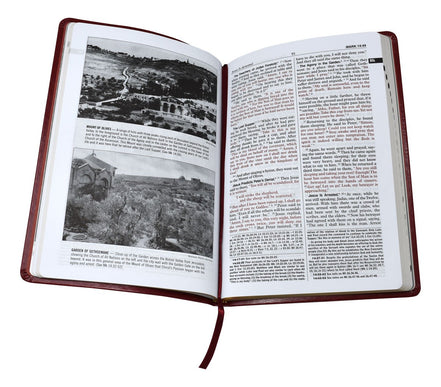 St. Joseph New Catholic Bible New Testament - 528-Page Edition - Dura-Lux - Burgundy image 6