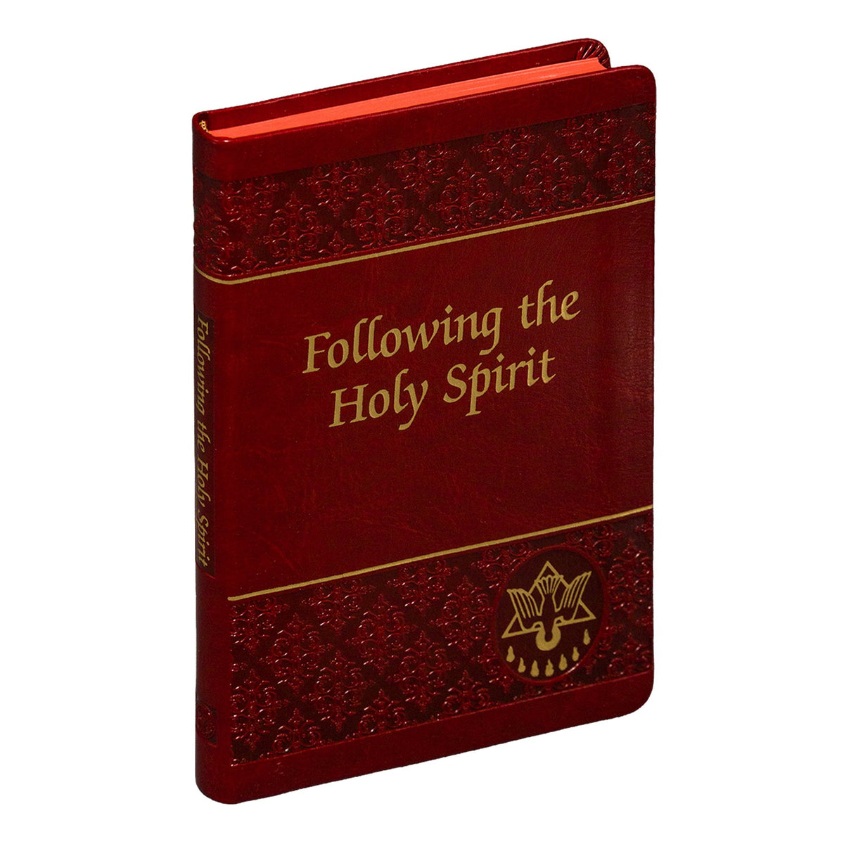 Following The Holy Spirit - Default Title image 1