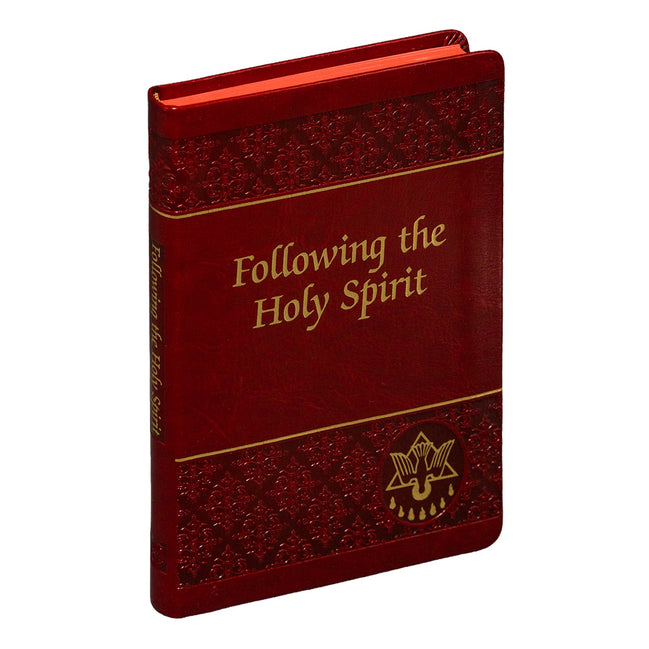 Following The Holy Spirit - Default Title image 1