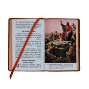 Catholic Book Of Novenas - Default Title image 4