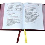 Lectionary - Weekday Mass (Vol. III) - 6 3/4 X 8 3/4 Edition - Default Title image 6