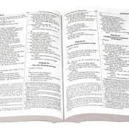 St. Joseph New American Bible Full Size - Default Title image 6