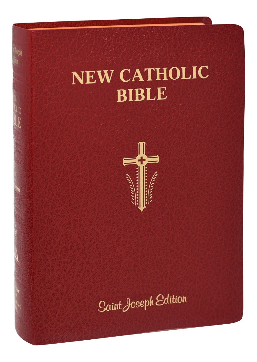 St. Joseph New Catholic Bible (Giant Type) - Imitation Leather - Red image 4