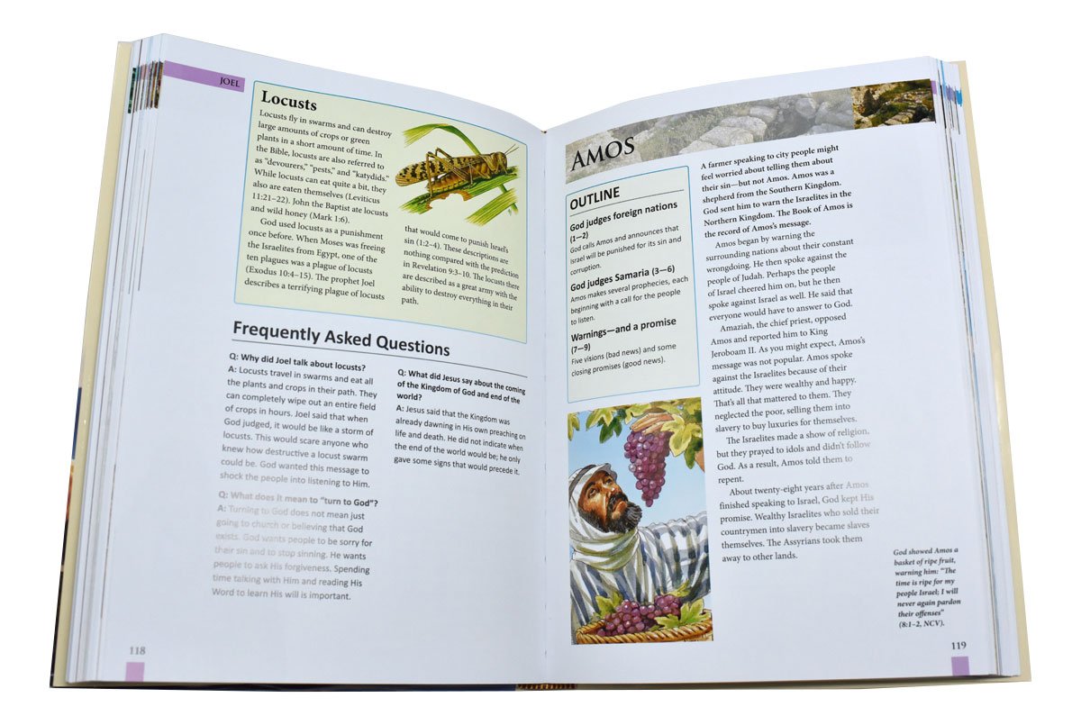 St. Joseph Bible Handbook - Default Title image 6