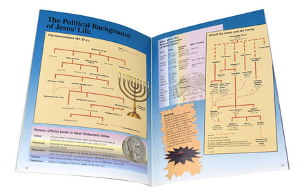 Bible Facts And Figures - Default Title image 6