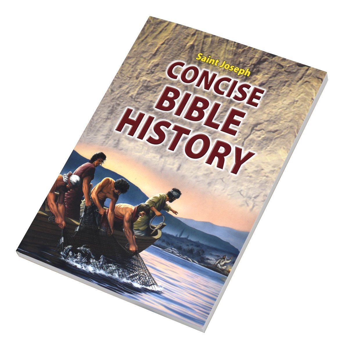Concise Bible History - Default Title image 1