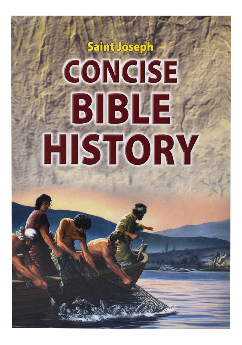 Concise Bible History - Default Title image 5