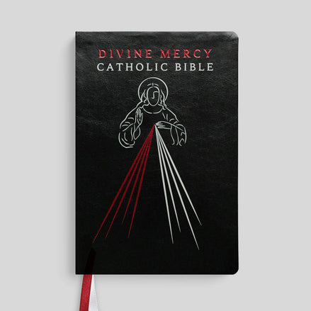 Divine Mercy Catholic Bible