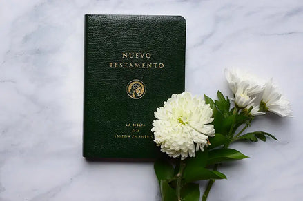 Nuevo Testamento (tapa flexible)