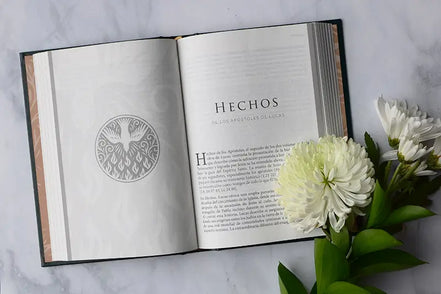 Nuevo Testamento (tapa dura)