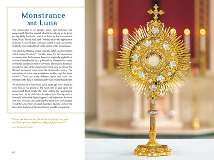 The Sacred That Surrounds Us: How Everything in a Catholic Church Points to Heaven