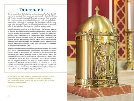 The Sacred That Surrounds Us: How Everything in a Catholic Church Points to Heaven