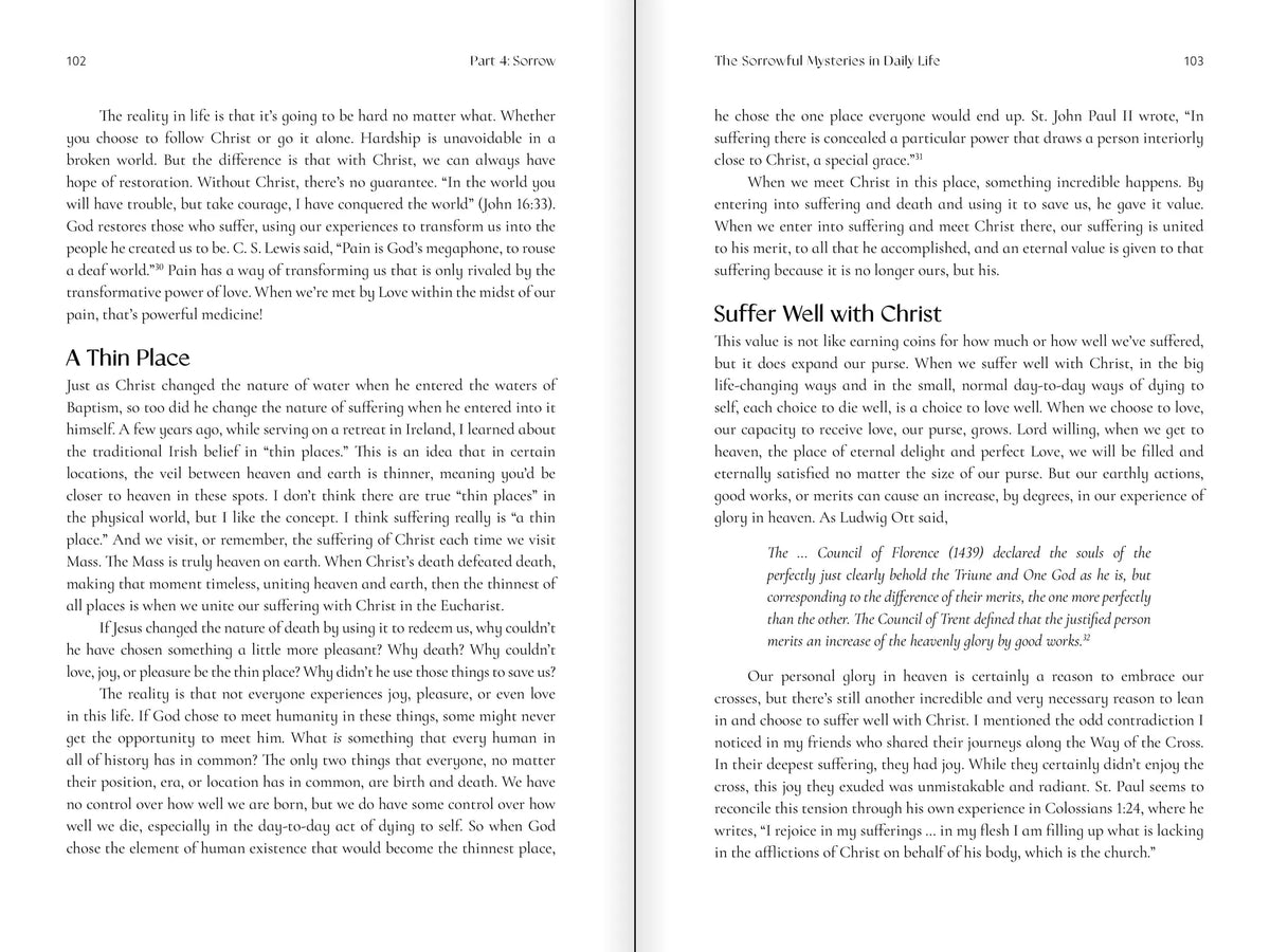 The Way of the Rosary: A Journey with Mary Through Scripture, Liturgy, and Life